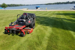 Lawnmowing and Maintenance Services