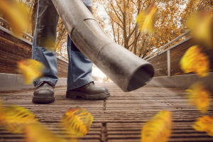 Have leaves removed from your property.